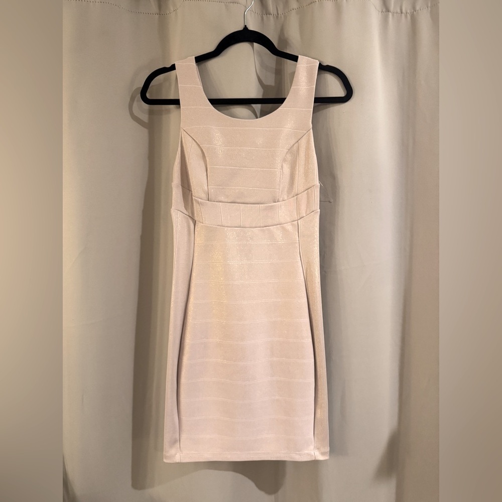 Women’s Pink Windsor Dress